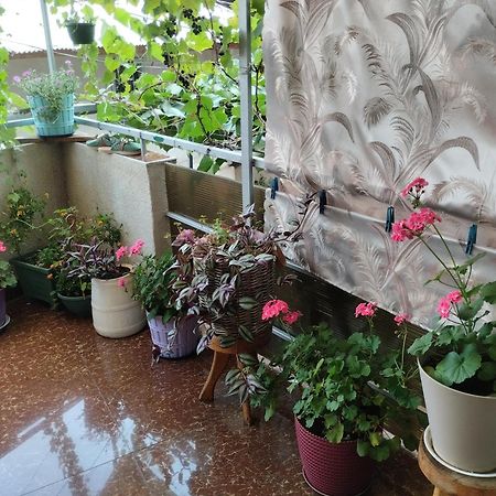 House In Borjomi Hotel Ruang foto