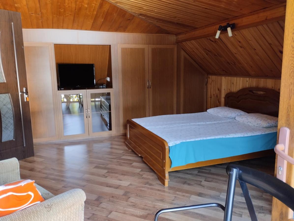 House In Borjomi Hotel Bagian luar foto