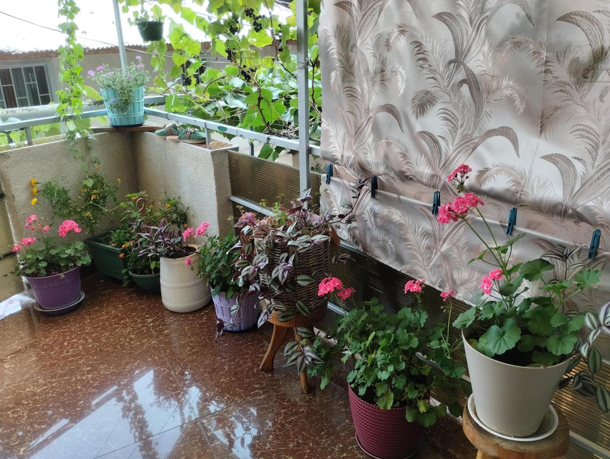 House In Borjomi Hotel Ruang foto