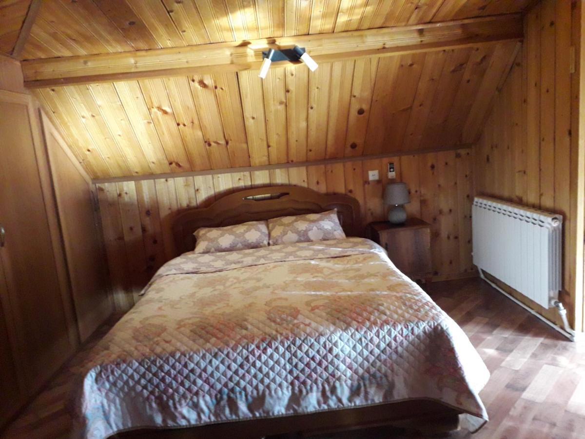 House In Borjomi Hotel Bagian luar foto